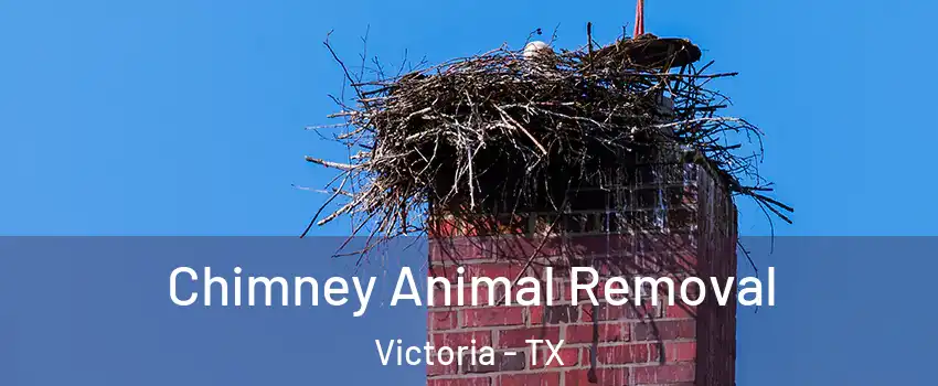 Chimney Animal Removal Victoria - TX