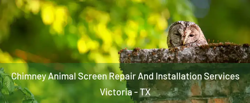  Chimney Animal Screen Repair And Installation Services Victoria - TX