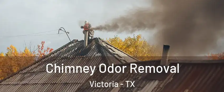  Chimney Odor Removal Victoria - TX