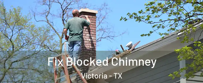  Fix Blocked Chimney Victoria - TX