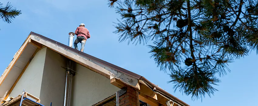 Birds Removal Contractors from Chimney in Victoria, TX